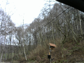 長野県菅平高原 ゆたか山荘 温度計 2026/04/10 16:15