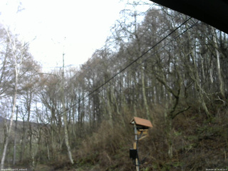 長野県菅平高原 ゆたか山荘 温度計 2026/04/10 16:45