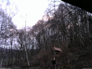 長野県菅平高原 ゆたか山荘 温度計 2026/04/10 18:15