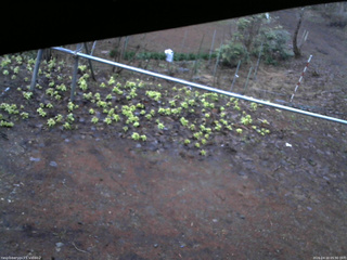 長野県菅平高原 ゆたか山荘 駐車場 2026/04/10 05:30