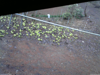 長野県菅平高原 ゆたか山荘 駐車場 2026/04/10 05:45