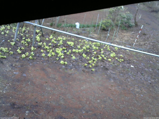 長野県菅平高原 ゆたか山荘 駐車場 2026/04/10 06:00