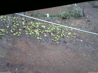 長野県菅平高原 ゆたか山荘 駐車場 2026/04/10 06:30