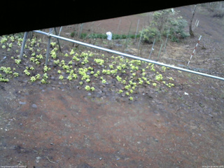 長野県菅平高原 ゆたか山荘 駐車場 2026/04/10 06:45