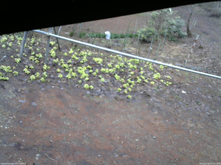 長野県菅平高原 ゆたか山荘 駐車場 2026/04/10 07:15