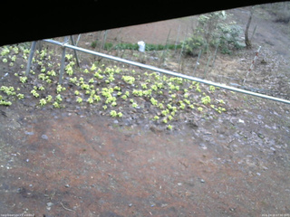 長野県菅平高原 ゆたか山荘 駐車場 2026/04/10 07:30