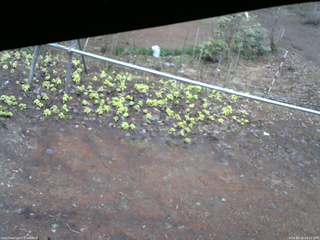 長野県菅平高原 ゆたか山荘 駐車場 2026/04/10 08:15