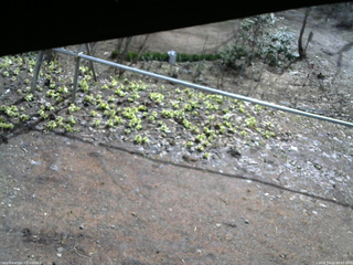 長野県菅平高原 ゆたか山荘 駐車場 2026/04/10 08:45