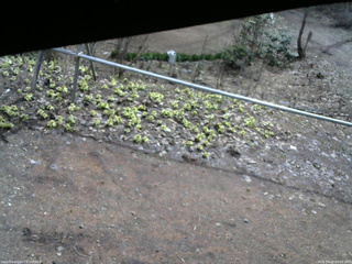 長野県菅平高原 ゆたか山荘 駐車場 2026/04/10 09:00