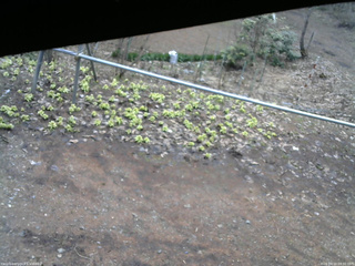 長野県菅平高原 ゆたか山荘 駐車場 2026/04/10 09:30