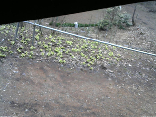 長野県菅平高原 ゆたか山荘 駐車場 2026/04/10 09:45