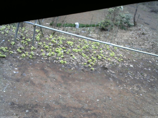 長野県菅平高原 ゆたか山荘 駐車場 2026/04/10 10:15