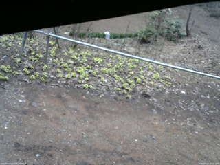 長野県菅平高原 ゆたか山荘 駐車場 2026/04/10 10:30