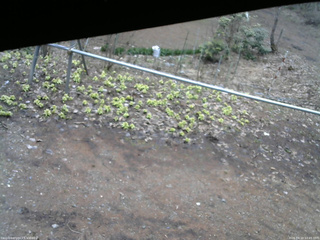 長野県菅平高原 ゆたか山荘 駐車場 2026/04/10 10:45