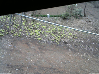 長野県菅平高原 ゆたか山荘 駐車場 2026/04/10 11:00