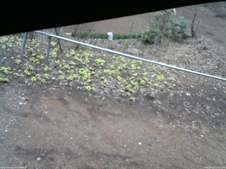 長野県菅平高原 ゆたか山荘 駐車場 2026/04/10 11:15