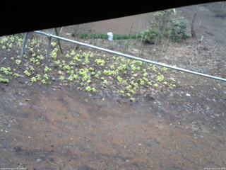 長野県菅平高原 ゆたか山荘 駐車場 2026/04/10 11:30