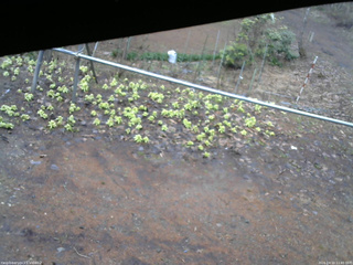 長野県菅平高原 ゆたか山荘 駐車場 2026/04/10 11:45