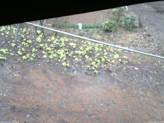 長野県菅平高原 ゆたか山荘 駐車場 2026/04/10 12:15