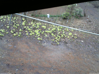 長野県菅平高原 ゆたか山荘 駐車場 2026/04/10 12:30