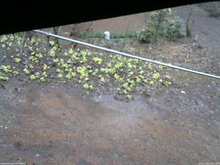 長野県菅平高原 ゆたか山荘 駐車場 2026/04/10 13:00