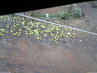 長野県菅平高原 ゆたか山荘 駐車場 2026/04/10 14:15