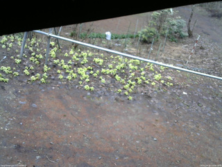 長野県菅平高原 ゆたか山荘 駐車場 2026/04/10 14:30