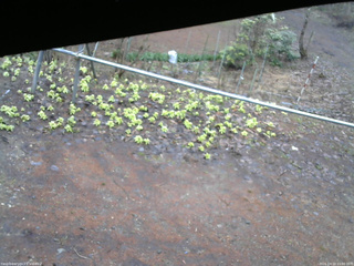 長野県菅平高原 ゆたか山荘 駐車場 2026/04/10 15:00