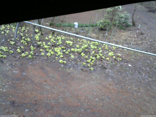 長野県菅平高原 ゆたか山荘 駐車場 2026/04/10 16:00