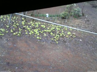 長野県菅平高原 ゆたか山荘 駐車場 2026/04/10 16:15