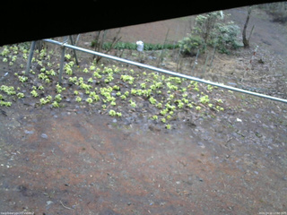 長野県菅平高原 ゆたか山荘 駐車場 2026/04/10 17:00