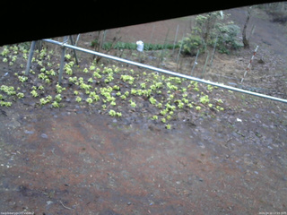 長野県菅平高原 ゆたか山荘 駐車場 2026/04/10 17:15