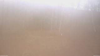 長野県菅平高原 ゆたか山荘 坂上 2026/04/10 06:30