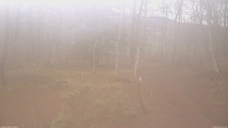 長野県菅平高原 ゆたか山荘 坂上 2026/04/10 06:45