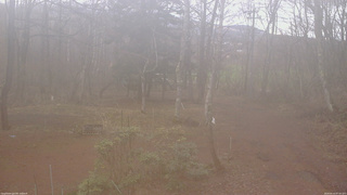 長野県菅平高原 ゆたか山荘 坂上 2026/04/10 07:00