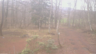 長野県菅平高原 ゆたか山荘 坂上 2026/04/10 07:15