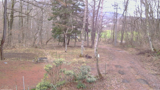 長野県菅平高原 ゆたか山荘 坂上 2026/04/10 07:30