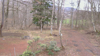 長野県菅平高原 ゆたか山荘 坂上 2026/04/10 08:00