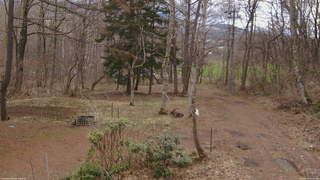 長野県菅平高原 ゆたか山荘 坂上 2026/04/10 10:00