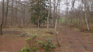 長野県菅平高原 ゆたか山荘 坂上 2026/04/10 11:45