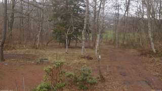 長野県菅平高原 ゆたか山荘 坂上 2026/04/10 12:00