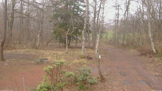 長野県菅平高原 ゆたか山荘 坂上 2026/04/10 12:30