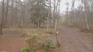 長野県菅平高原 ゆたか山荘 坂上 2026/04/10 12:45