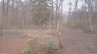 長野県菅平高原 ゆたか山荘 坂上 2026/04/10 13:00