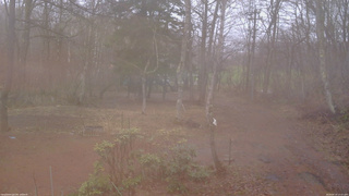 長野県菅平高原 ゆたか山荘 坂上 2026/04/10 13:15