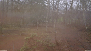 長野県菅平高原 ゆたか山荘 坂上 2026/04/10 13:30