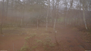 長野県菅平高原 ゆたか山荘 坂上 2026/04/10 13:45