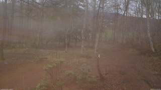長野県菅平高原 ゆたか山荘 坂上 2026/04/10 14:00