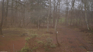 長野県菅平高原 ゆたか山荘 坂上 2026/04/10 14:45