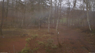 長野県菅平高原 ゆたか山荘 坂上 2026/04/10 15:45